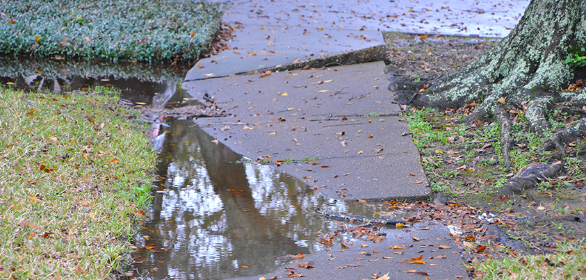 Premises Liability - Slip & Fall and Trip & Fall Accidents